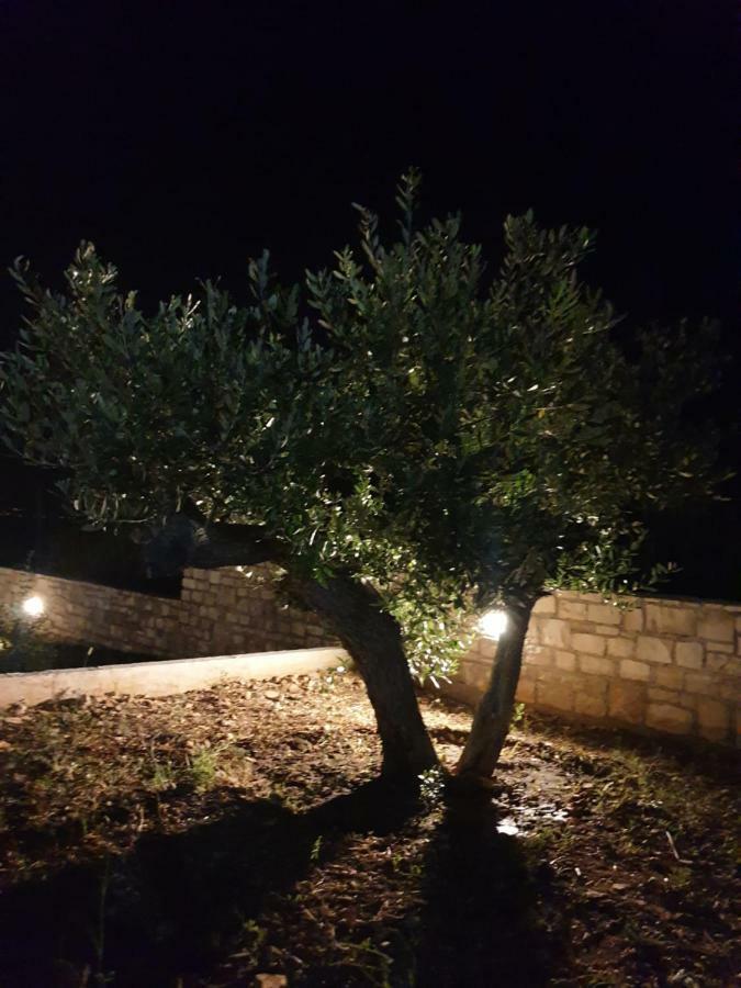 Villa Senka Nečujam Eksteriør bilde